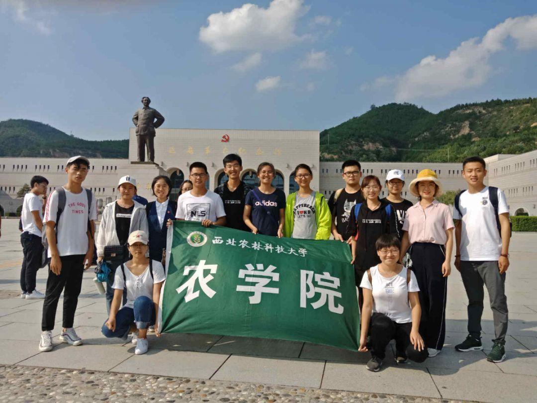 沪江开心词场