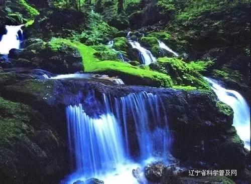 苹果菠萝笔3