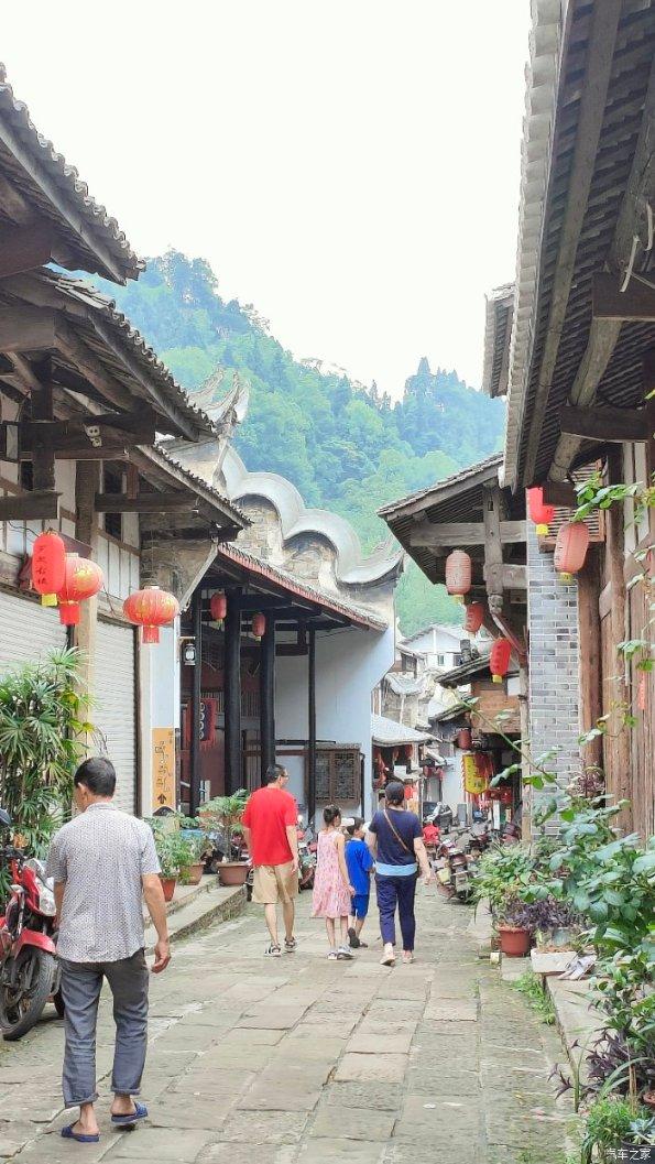 出实招助农 捧真心惠农